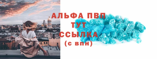 индика Алексин