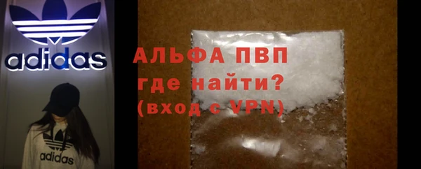 индика Алексин