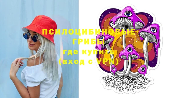 индика Алексин