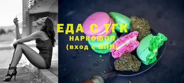 индика Алексин