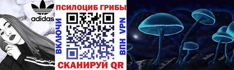 Галлюциногенные грибы Cubensis  Дудинка 